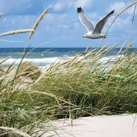 Modern 5th Floor * Knokke-Heist