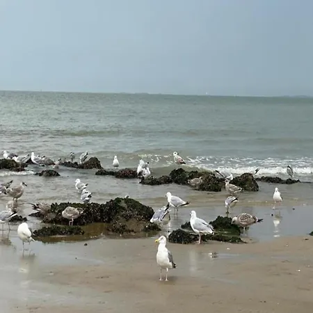 Modern 5th Floor Knokke-Heist