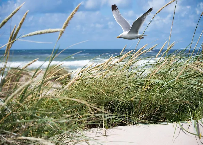 Modern 5th Floor * 克诺克－海斯特