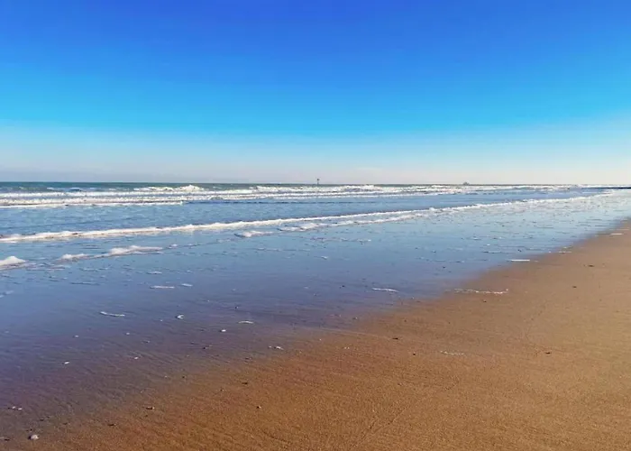 Modern 5th Floor 公寓